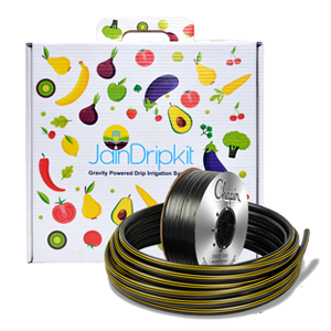 Kitchen Garden Kit